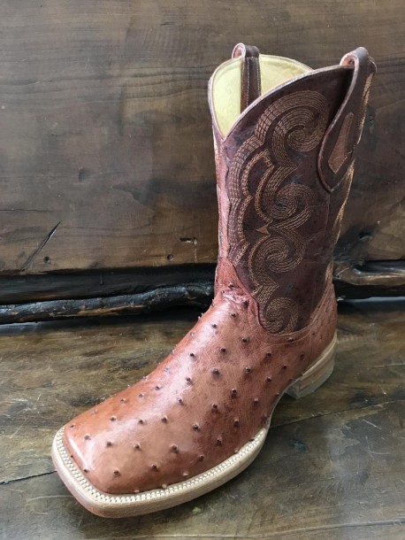 Bota avestruz bulldog