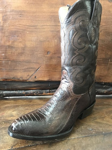 Bota de Avestruz Oval