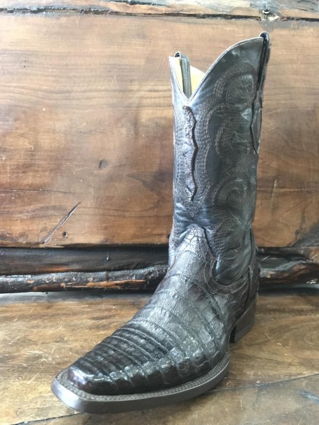 Cola de Cocodrilo Belly