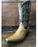 Bota Avestruz Holanda