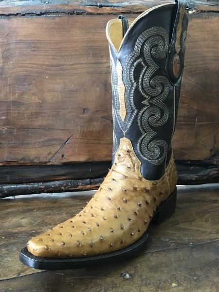 Bota Avestruz Holanda