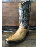 Bota Avestruz Holanda