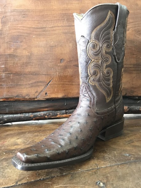 Bota Avestruz Holanda