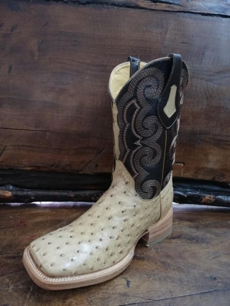 Bota avestruz bulldog